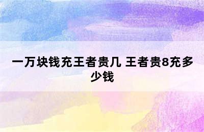 一万块钱充王者贵几 王者贵8充多少钱